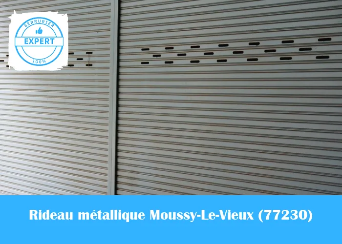 Serrurier Rideau Métallique Moussy-Le-Vieux